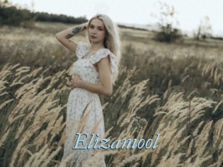 Elizamool