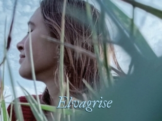 Elvagrise