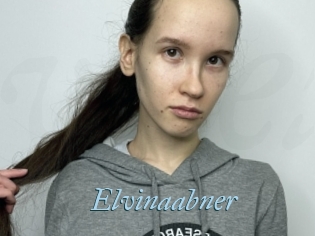 Elvinaabner