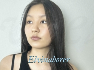 Elvinaborer
