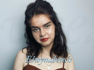 Elwynabench