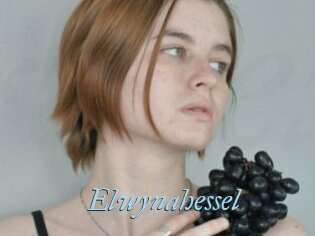 Elwynahessel