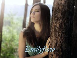 Emilyflow