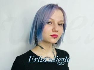 Erlinadiggle