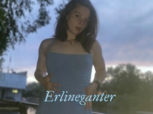Erlineganter