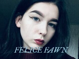 FELICE_FAWN