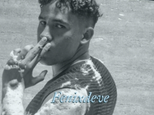 Fenixdeve
