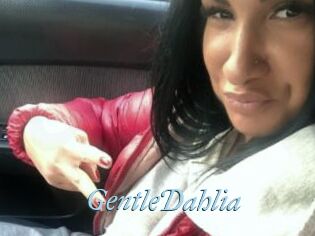GentleDahlia