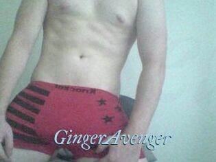 GingerAvenger