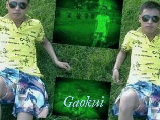 Gaokui