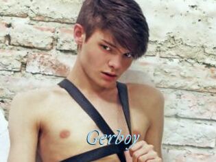 Gerboy