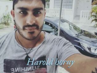 Harold_horny
