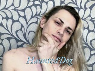 HauntedDog