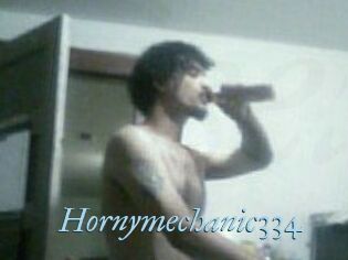 Hornymechanic334