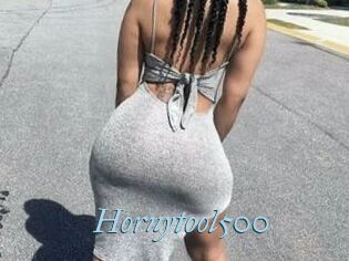 Hornytool500