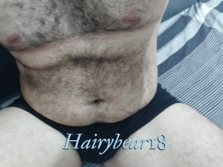 Hairybear18