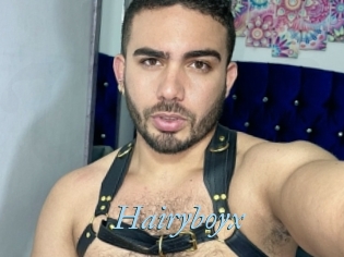 Hairyboyx
