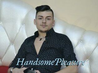 HandsomePleasure