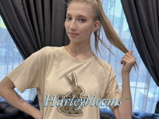 Harleyblooms