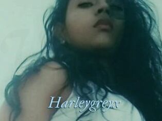 Harleygreyx