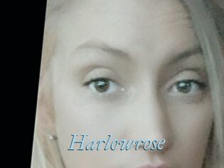 Harlowrose