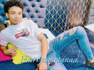 Harrymontanaa