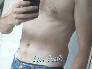 Igor_bash