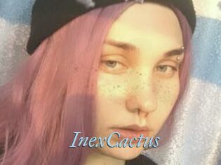 InexCactus