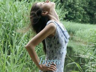 Ingera