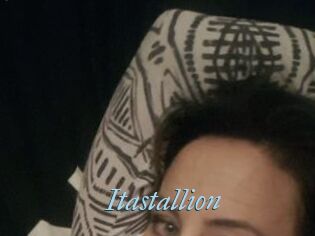 Itastallion