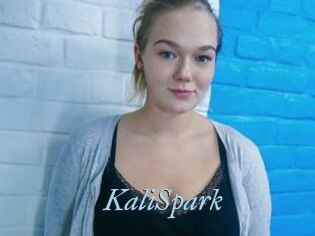 KaliSpark