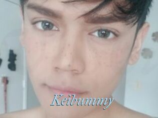 Keibummy