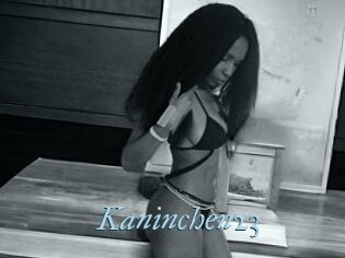 Kaninchen23