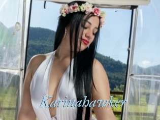 Karinahawker