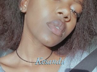 Kesandu