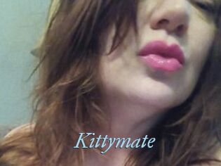 Kittymate