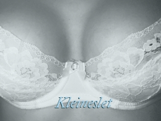 Kleineslet