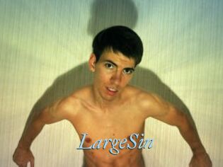 LargeSin