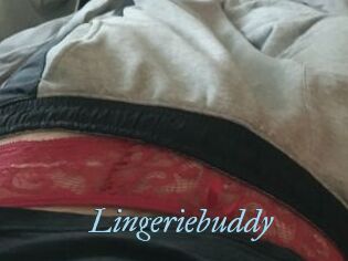 Lingeriebuddy