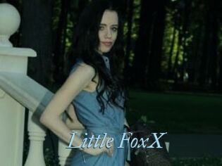Little_FoxX