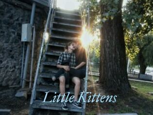 Little_Kittens