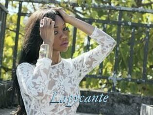Lapycante
