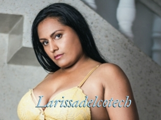 Larissadelcotech