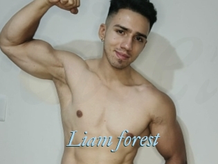 Liam_forest