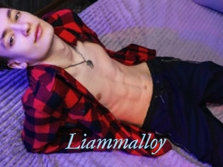 Liammalloy