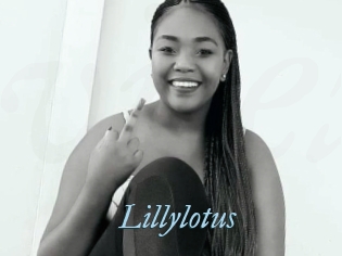 Lillylotus