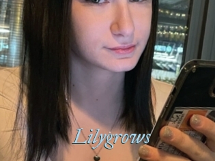 Lilygrows