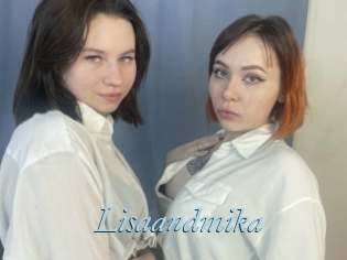 Lisaandmika