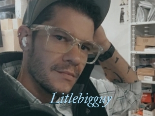 Litlebigguy