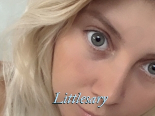 Littlesary